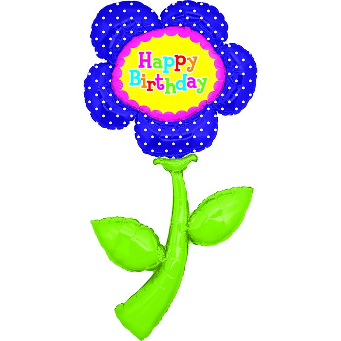 56" Freshs Picks Birthday