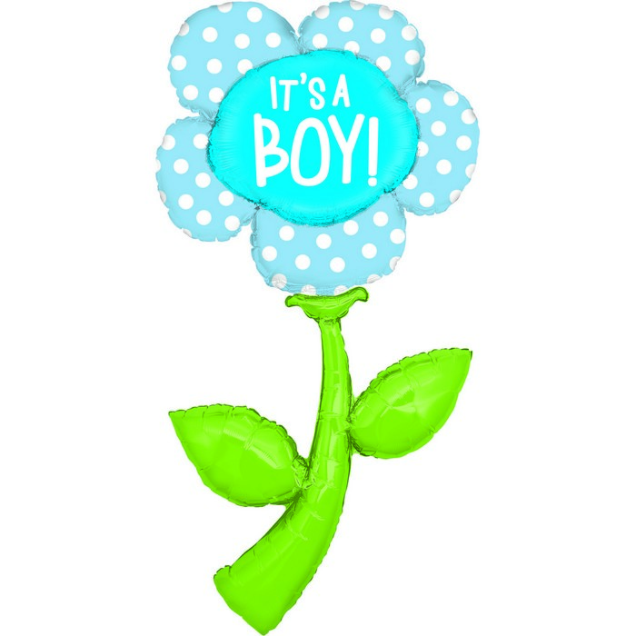 52" shape Fresh Picks It's A Boy