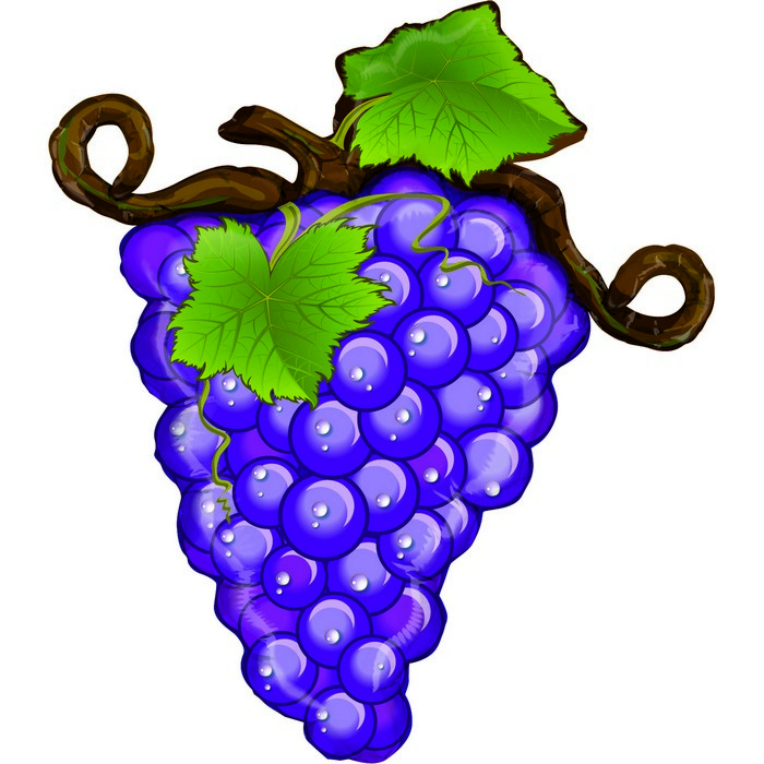 07 shape food fruit Linky Grapes - Purple
Size 27" / 58x66 cm