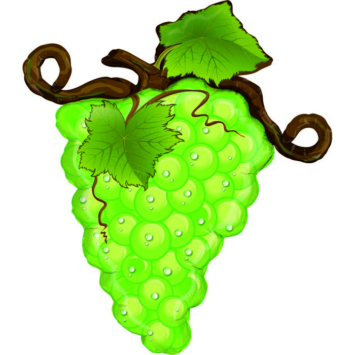 07 shape food fruit Linky Grapes -Green
Size 27" / 58x66 cm