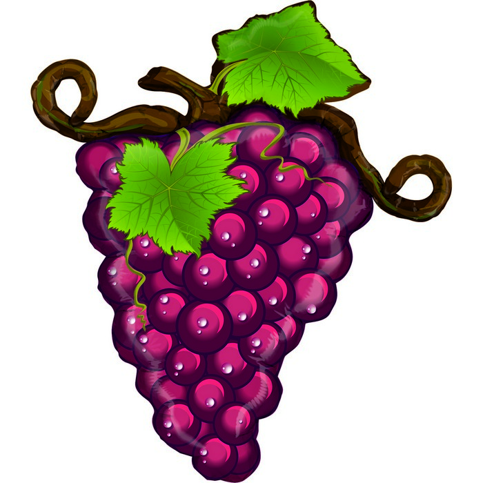 07 shape food fruit Linky Grapes - Red
Size 27" / 58x66 cm