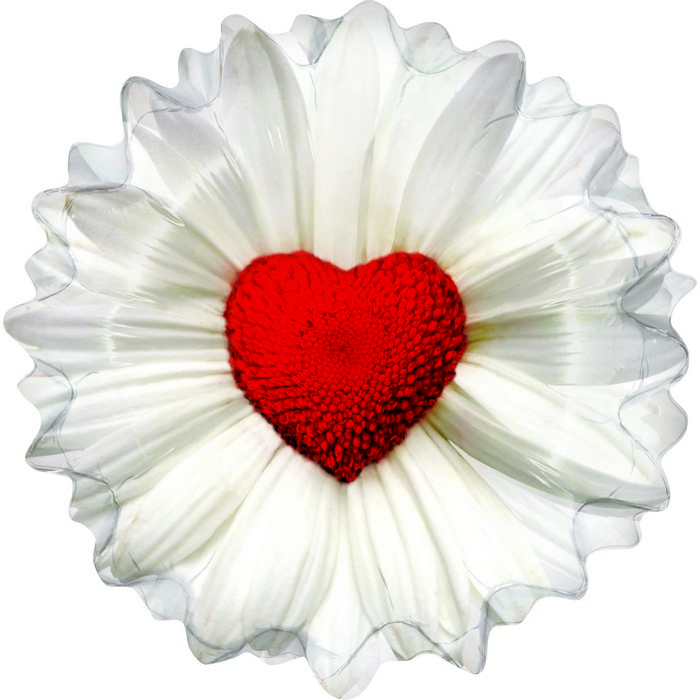 09 shape flowers Daisy Heart

size 24 "