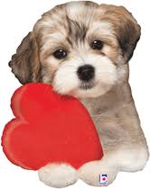 30" shape Adorable Puppy Love29''