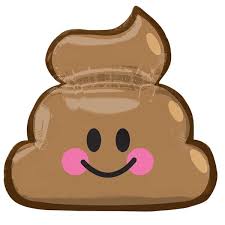 52  shape poo EMOTICON POOP SHAPE P30 PKT

ANAGRAM