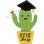 Grad Cactus - Single Pack 42"