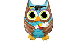 OWL GRADUATE 34" SHAPE GROUP D PKT