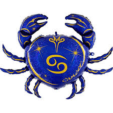 Pall. Arg. Zodiac Cancer Blue Single Pack