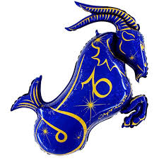 Pall. Arg. Zodiac Capricorn Blue Single Pack