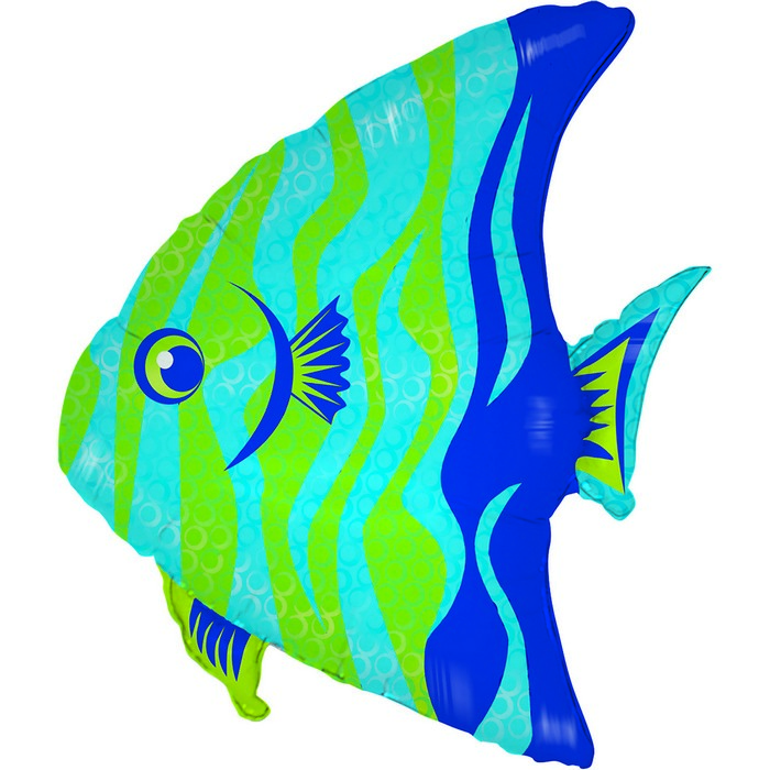 07 shape animal  fish Angel

size 24" / 49x58 cm