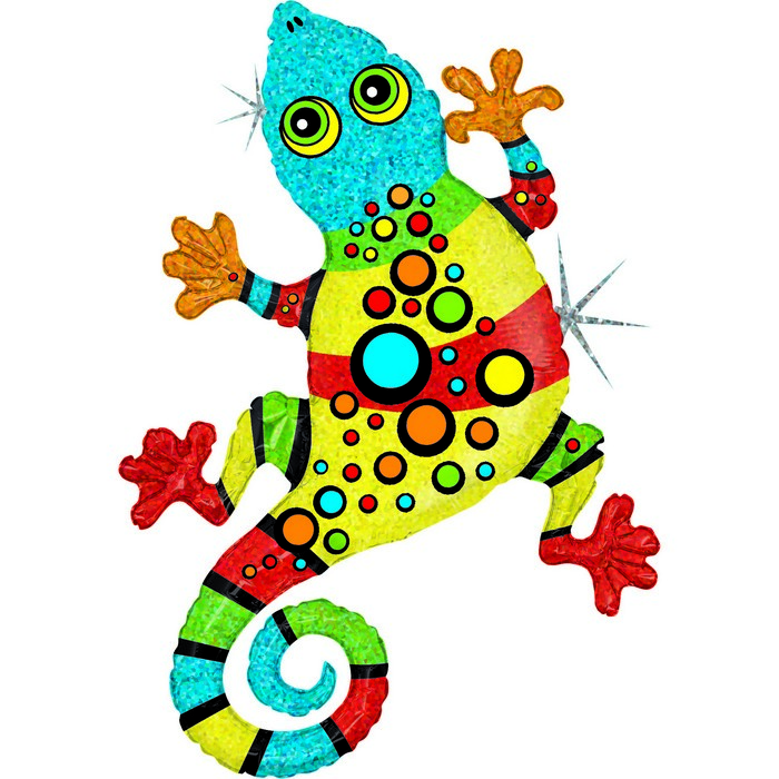 06 shape insetti  Gecko  Linky
Size 39" / 68x110 cm