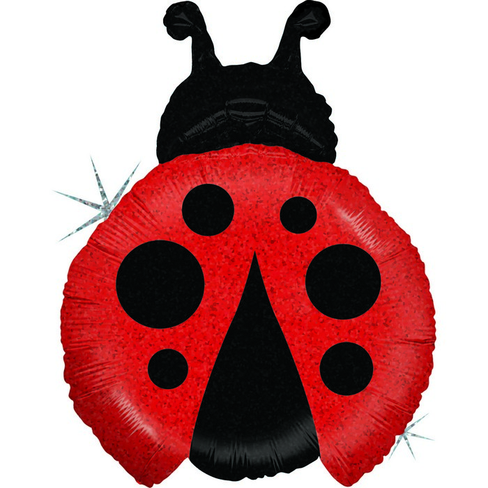 06 shape insetti Ladybug red 
Size 23"/ 43x55 cm'